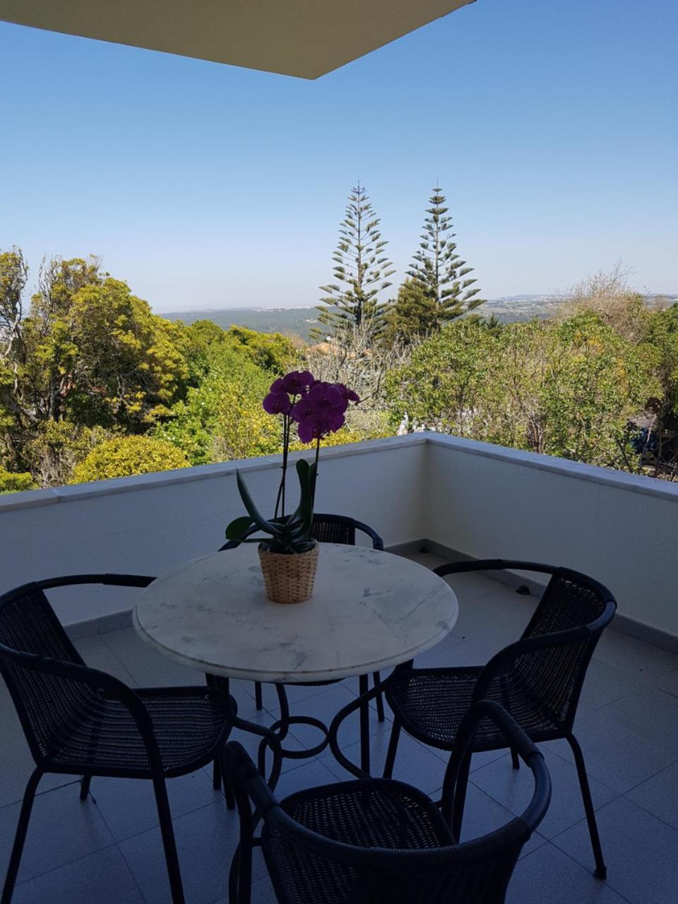 Quinta Casa Portuguesa Villa Sintra Luaran gambar